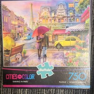 Buffalo Cities in Color Puzzle - Raining in Paris - 750 Pieces